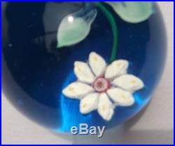 Antique/Vintage Unusual 8 Petal Floral Daisy Sandwiched Glass Paperweight