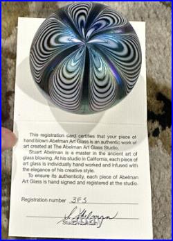 Art Glass 2010 Iridescent Feather Paperweight American Writer Abelman RARE