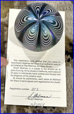 Art Glass 2010 Iridescent Feather Paperweight American Writer Abelman RARE