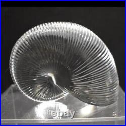 Baccarat Crystal Nautilus Shell Medium 4 Paperweight Signed & Stamped