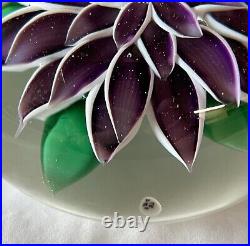 Baccarat Purple Lampwork Dahlia glass paperweight 1974
