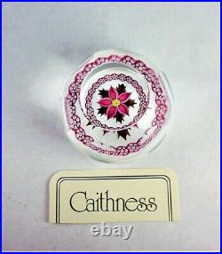 Caithness Paperweight Winter Flower Excellent Lamp Work 375/500 Very Rare