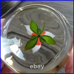 Early Paul Stankard Compound Trillium Flower Art Glass Paperweight