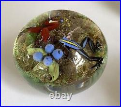 Jim D'onofrio Poison Dart Frogs Paperweight