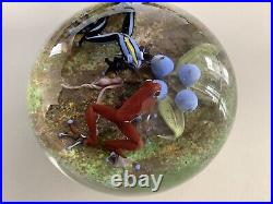 Jim D'onofrio Poison Dart Frogs Paperweight