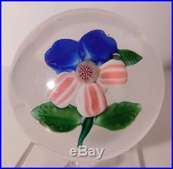 LOVELY SANDWICH PANSY withPINK & WHITE Striped Lower Petals & BLUE Upper Petals