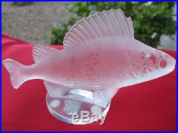 Lalique Vtg Signed Frosted Crystal Perche Fish Paperweight/figurine