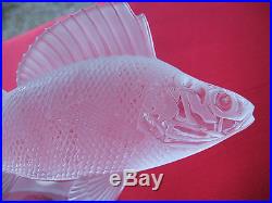 Lalique Vtg Signed Frosted Crystal Perche Fish Paperweight/figurine