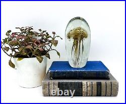 Large Nautical Jellyfish Glass Paperweight