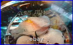 Large Signed Murano Glass Studio Fish Aquarium Sea Life Coral Paperweight 8.4lbs