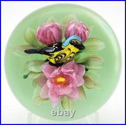 MAGNUM Spectacular RICK AYOTTE Magnolia WARBLER BIRD Art Glass PAPERWEIGHT