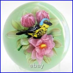 MAGNUM Spectacular RICK AYOTTE Magnolia WARBLER BIRD Art Glass PAPERWEIGHT