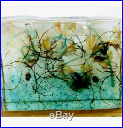 Murano Block Vintage Aquarium Fish Paper Weight 8lbs Wow Excellent Cenedese Rare