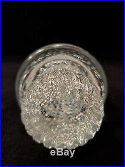 Murano Glass Vintage Bullicante Bubbles 9 Tree Paperweight