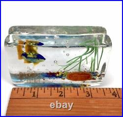 Rare Vintage Murano Glass Fish Aquarium Tank Block Paperweight Made in Italy