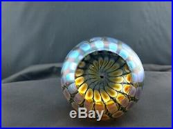 Signed Vintage Tom Philabaum Art Glass Paperweight Beautiful piece of Glass