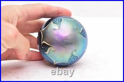 Studio Art Glass Iridescent pulled Feather signed Richardson paperweight