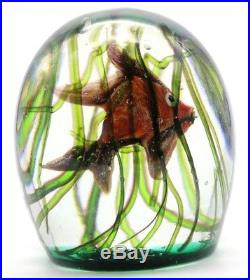 VINTAGE Magnum MURANO Cenedese FISH AQUARIUM Art Glass PAPERWEIGHT