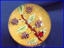Vintage Caithness Glass RARE PROOF Blackberries & Ladybird 1990 Paperweight