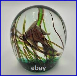 Vintage Large Murano Art Glass Fish Paperweight 1260