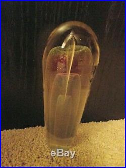 Vintage Large Studio Signed R W Stephan 1986 Dichroic Art Glass Paperweight 8.5
