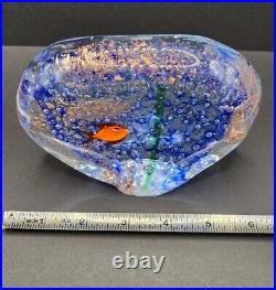 Vintage Murano Art Glass Paperweight Fish Tank Aquarium Sculpture