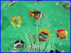 Vintage Murano Glass Aquarium Fish Paperweight With Original Label