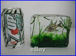 Vtg. Authentic Murano Cenedese 1950s Barbini & Licata Glass Fish Aquarium RARE