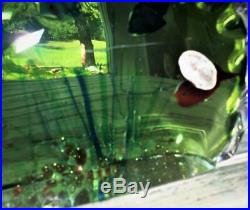 Vtg Murano Fish Tank Aquarium Paperweight Lg 5 Fish Orig Label Gold Dust Seaweed